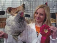 Our daughter, Kennedy's first year showing poultry. She received 2nd place in her Asiatic Class with her Splash Cochin Hen.