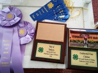 Awards from Shows