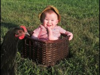 little girl in a picnic basket with rooster on side of photo