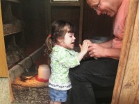 little girl petting a chicken