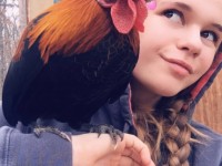 girl holding rooster on her arm