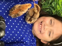 girl laying on grass with chickens on chest