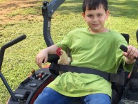 Boy riding a lawnmower with a rooster