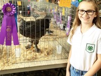 Girl standing next to chicken in cage with prize ribbon