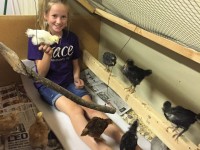 Girl sitting in chick pen holding a chicken