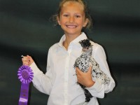 Girl holding chicken with contest ribbon