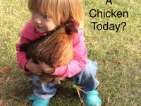 Girl Hugging a Chicken with the quote "have you hugged a chicken today?"
