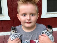 Kid with 2 Chicks