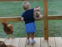 Little boy with his arm around chicken on a deck
