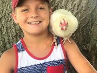 Boy with white chicken on his shoulder