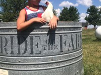Boy in tank holding a white chicken
