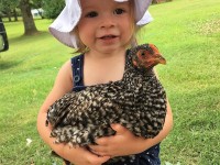 Girl holding chicken
