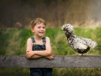 boy with mottled houdan chicken