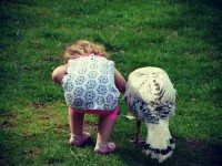 Little girl bending over petting white turkey