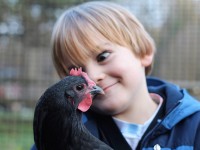Kid with Chicken