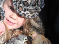 Little girl with baby chicks in her arms