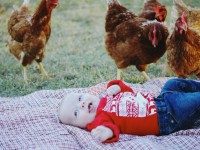 Baby on blanket with red chickens behind