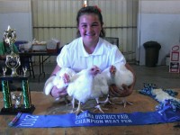 tehama district fair champion meat pen 2010