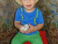 Boy Holding a Chick