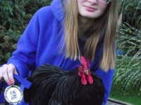 Girl with Blue Ribbon Chicken