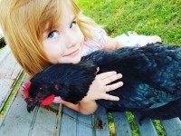 Girl holding black chicken