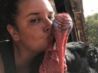 Girl kissing a turkey