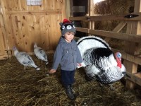 Large Turkey with Child