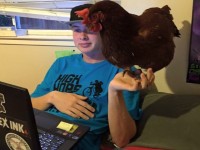 Boy and Chicken Watching a Laptop