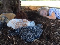 Girl Laying with Chickens