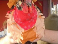 chicken in costume cowboy chicken