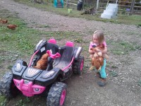 girl taking chickens for ride in battery powered toy car