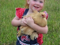 small girl holding cinnamon chicken