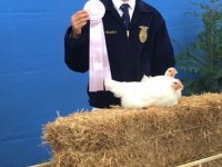 Boy showing prize in front of white chickens