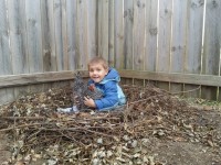 Boy holding Dominique Chicken