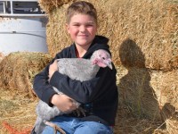 Kid Holding a Turkey