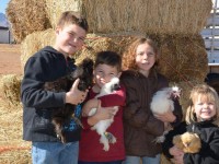 Kids with Chickens