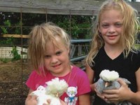 Girls with Baby Chicks