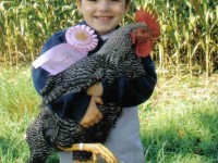 Child holding Chicken