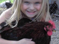young girl with chicken