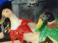 Dressed Up Ducks