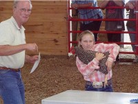 Show Chicken
