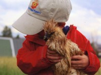 Kid with Chicken