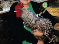 Kid holding an Award Winning Chicken