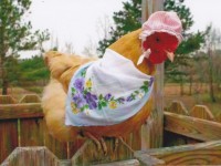 Chicken in a Bandana