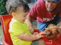 Small Child with chicken