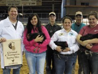 Grand Champion Laying Hens