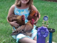 Girl with Award Winning Chickens