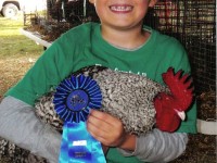Boy with 1st Place Chicken