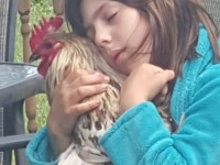 Girl Hugging Rooster