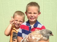 boys holding chicken